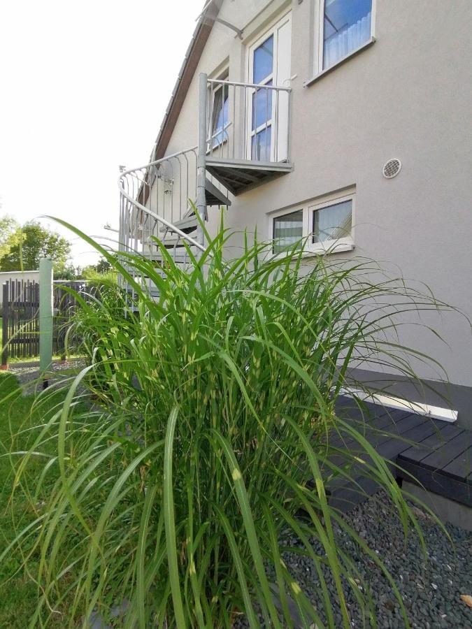 Ferienwohnung Familie Ernst Langenwetzendorf エクステリア 写真